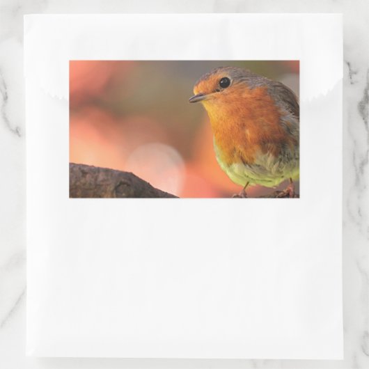 Robin auf einem Zweig Rechteckiger Aufkleber (Tasche)