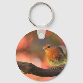 Robin auf einem Zweig Schlüsselanhänger