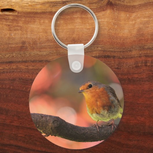 Robin auf einem Zweig Schlüsselanhänger (Vorderseite)