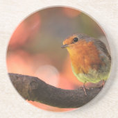 Robin auf einem Zweig Untersetzer (Vorne)