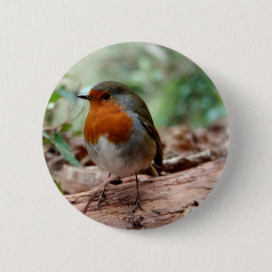 Robin auf einer Extremität Button