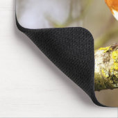 Robin auf Niederlassung Mousepad (Ecke)