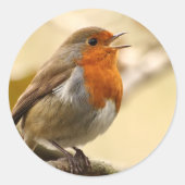 Robin-Aufkleber Runder Aufkleber (Vorderseite)