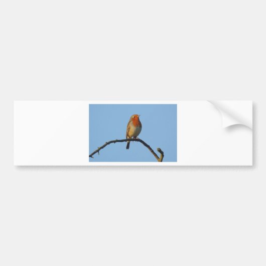 Robin Autoaufkleber (Vorne)