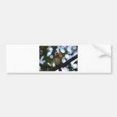 Robin Autoaufkleber (Vorne)