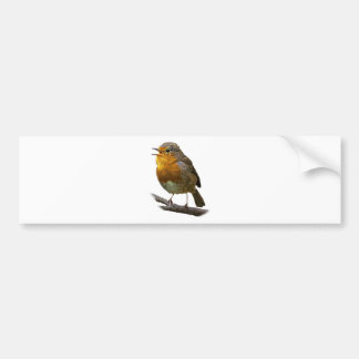 Robin-Autoaufkleber Autoaufkleber