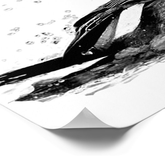 Robin Bath Poster (Ecke)