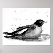 Robin Bath Poster (Vorne)