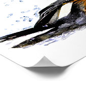 Robin Bathing Poster (Ecke)