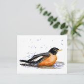 Robin Bathing Postkarte (Stehend Vorderseite)
