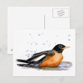 Robin Bathing Postkarte (Vorne/Hinten)