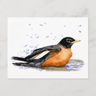 Robin Bathing Postkarte