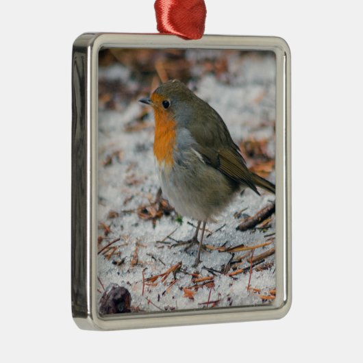 Robin Bauble Ornament Aus Metall (Rechts)