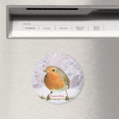 Robin-Bild für großes Round-Magnet Magnet (In Situ (Geschirrspüler))