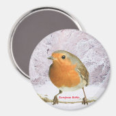 Robin-Bild für großes Round-Magnet Magnet (Vorderseite/Rückseite)