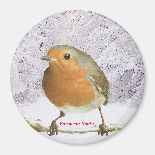 Robin-Bild für großes Round-Magnet Magnet (Vorne)