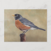 Robin Bird Art Postcard Postkarte (Vorderseite)