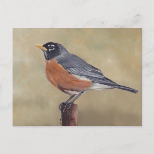 Robin Bird Art Postcard Postkarte (Vorderseite)
