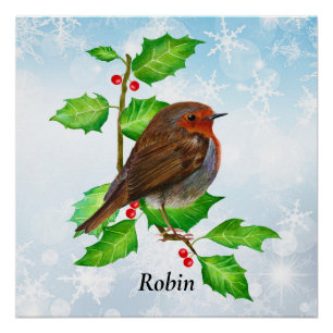 Robin Bird auf Holly Watercolor Malerei Poster