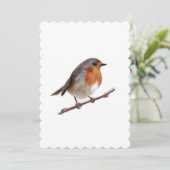 Robin Bird (Erithacus Rubecula) Geschenkkarte Einladung (Stehend Vorderseite)