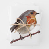 Robin Bird (Erithacus Rubecula) Packpapier Geschenkpapier Set (Beispiel)