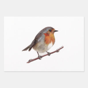Robin Bird (Erithacus Rubecula) Packpapier Geschenkpapier Set