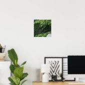Robin Bird Foto Poster (Heimbüro)