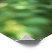 Robin Bird Foto Poster (Ecke)