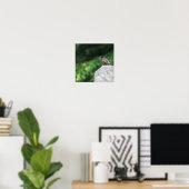 Robin Bird Foto Poster (Heimbüro)