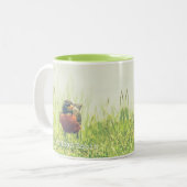 Robin Bird Green Nature Zweifarbige Tasse (Vorderseite Links)