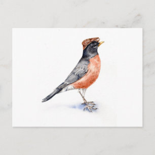 Robin Bird in Hat Postkarte