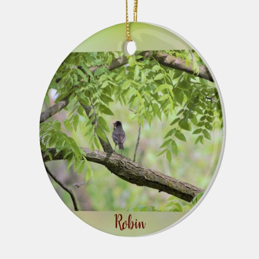 Robin Bird in Tree Keramik Ornament (Links)