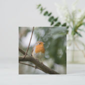Robin Bird Nature Foto Card (Stehend Vorderseite)