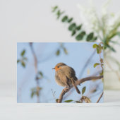 Robin Bird Nature Foto Card (Stehend Vorderseite)
