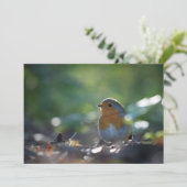 Robin Bird Nature Foto Card (Stehend Vorderseite)