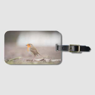 Robin Bird Nature Foto Gepäckanhänger