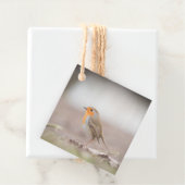 Robin Bird Nature Foto Geschenkanhänger (Beispiel)
