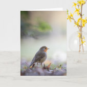 Robin Bird Nature Foto Karte (Gelbe Blume)