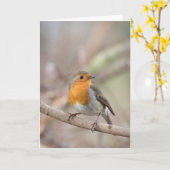 Robin Bird Nature Foto Karte (Gelbe Blume)