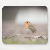 Robin Bird Nature Foto Mousepad (Vorne)