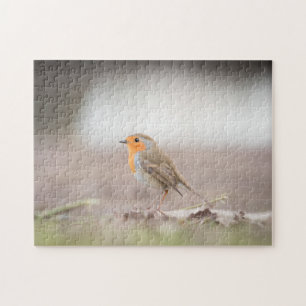 Robin Bird Nature Foto Puzzle