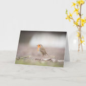Robin Bird Nature Fotocard Karte (Gelbe Blume)