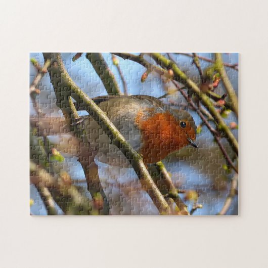 Robin Bird Puzzle (Horizontal)