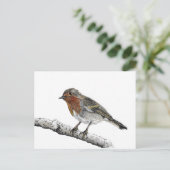 Robin Bird Sketch Postcard Postkarte (Stehend Vorderseite)