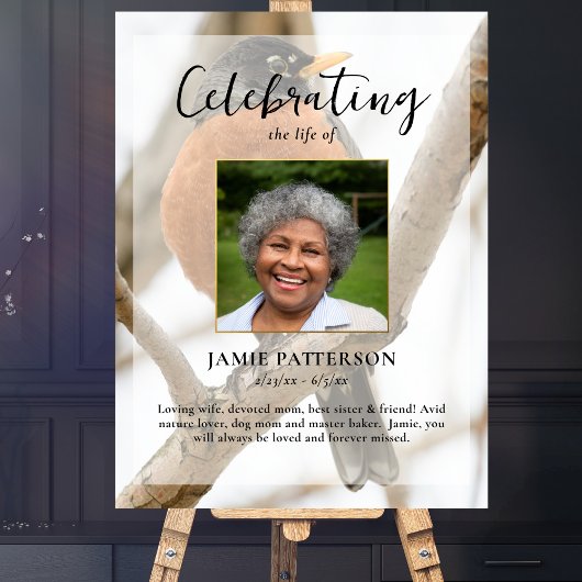 Robin Bird Watcher, Celebration of Life Foto Poster