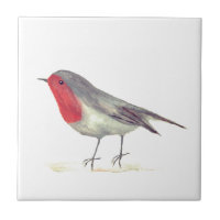 Robin Bird Wildlife Vintage Farbe