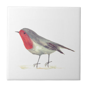 Robin Bird Wildlife Vintage Farbe Fliese