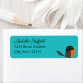 Robin Birds (Insitu)