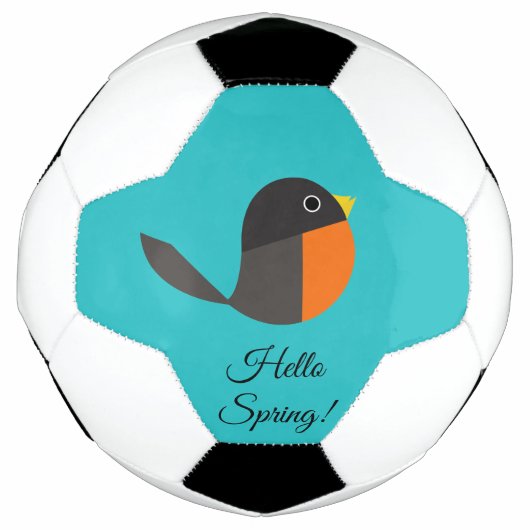 Robin Birds Fußball (Vorderseite)