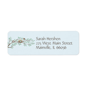 Robin Birds Nest Eggs Spring Baby Dusche